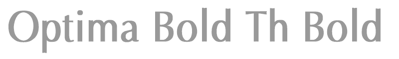Optima Bold Th Bold