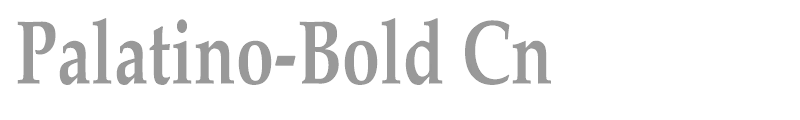 Palatino-Bold Cn