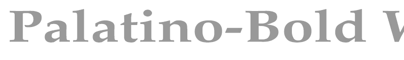 Palatino-Bold Wd