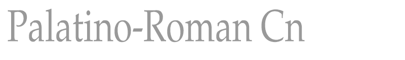 Palatino-Roman Cn