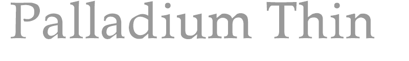 Palatino-Thin