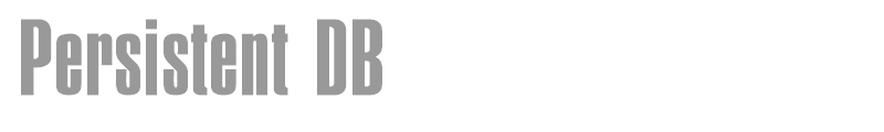 Persistent DB