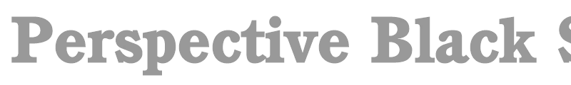 Perspective Black SSi