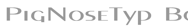 PigNoseTyp Bold