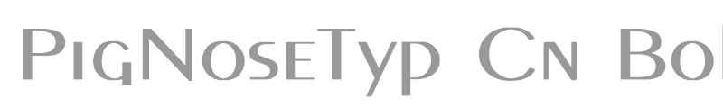 PigNoseTyp Cn Bold