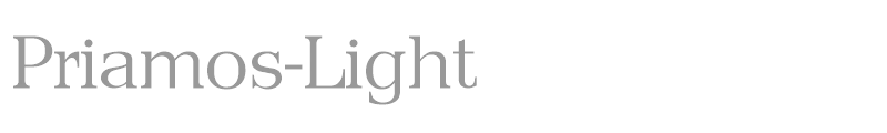 Priamos-Light