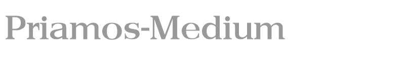 Priamos-Medium