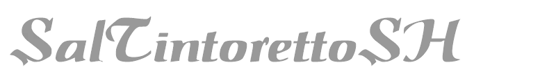 SalTintorettoSH