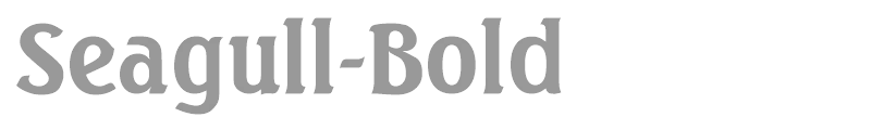 Seagull-Bold