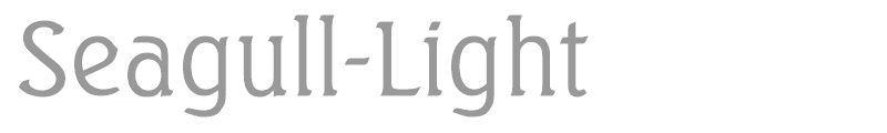 Seagull-Light