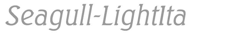 Seagull-LightIta