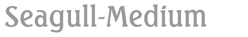 Seagull-Medium