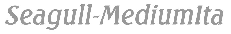 Seagull-MediumIta