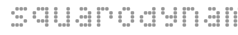 Squarodynamic 08