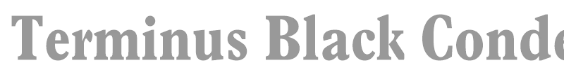 Terminus Black Condensed SSi
