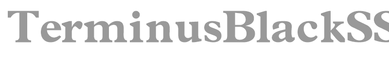 TerminusBlackSSK