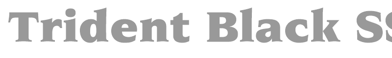 Trident Black SSi