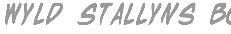 Wyld Stallyns Bold