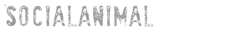 SociaLAnimaL