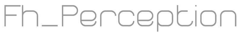 Fh_Perception