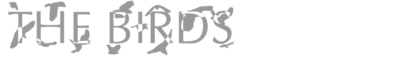 The Birds