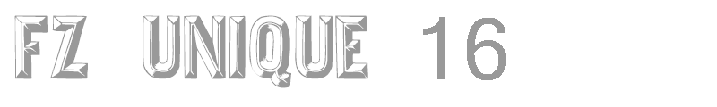FZ UNIQUE 16