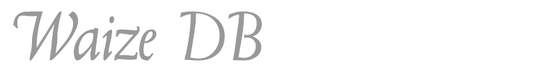 Waize DB
