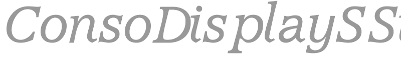 ConsoDisplaySSi