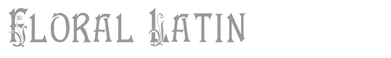 Floral Latin