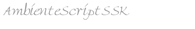 AmbienteScriptSSK