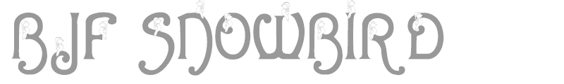 BJF Snowbird