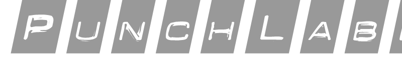 PunchLabelExtended