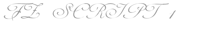 FZ SCRIPT 1