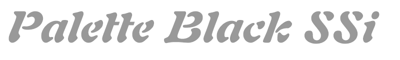 Palette Black SSi
