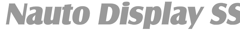 Nauto Display SSi