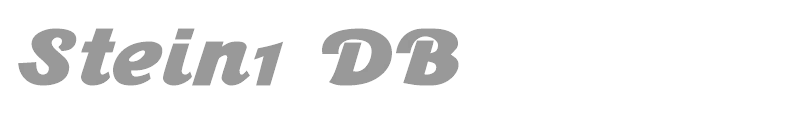 Stein1 DB