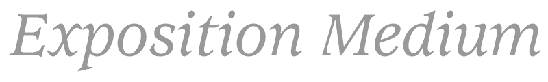 Exposition Medium SSi