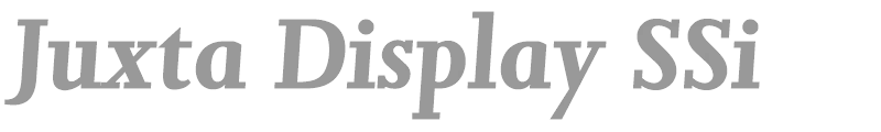 Juxta Display SSi