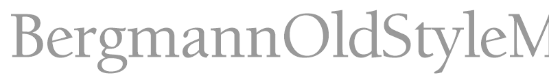 BergmannOldStyleMedium