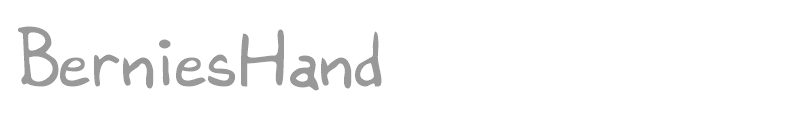 BerniesHand