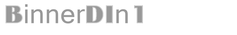 BinnerDIn1