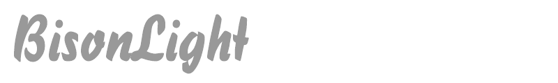 BisonLight
