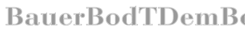 BauerBodTDemBolIn1