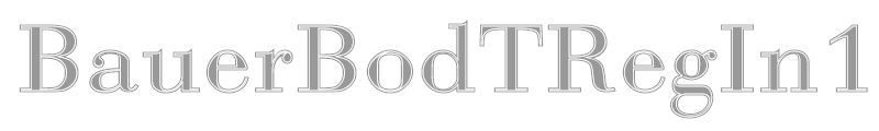 BauerBodTRegIn1