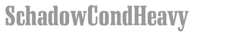 SchadowCondHeavy