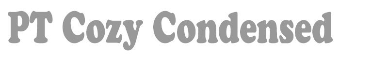 PT Cozy Condensed