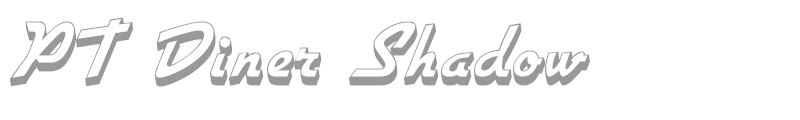PT Diner Shadow