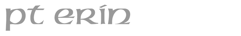 PT Erin