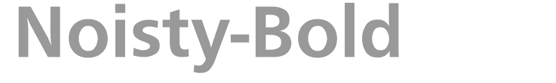 Noisty-Bold