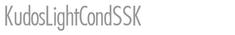 KudosLightCondSSK